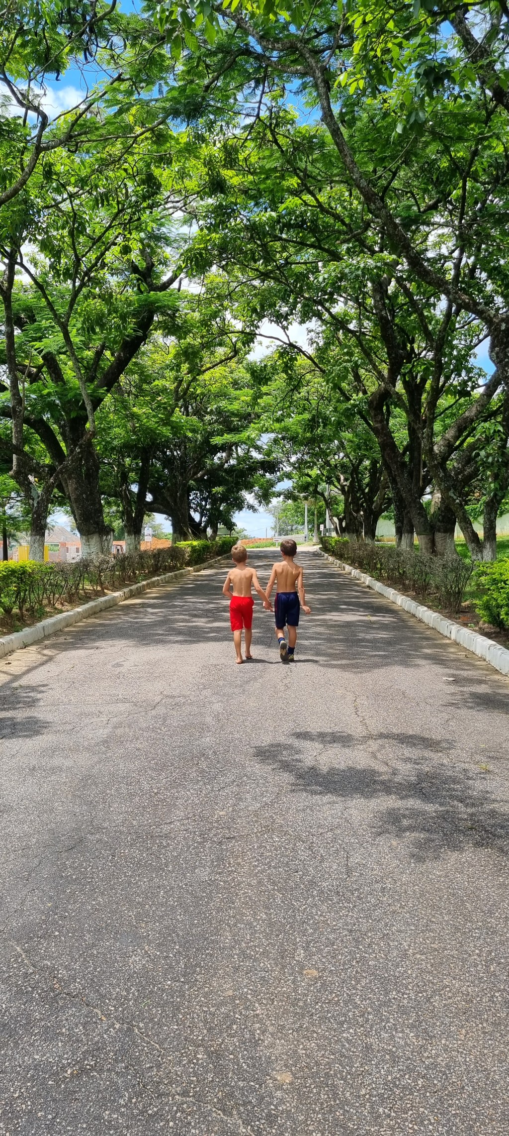 Fevereiro em imagens